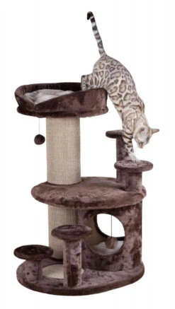 Trixie Grattoir Sur Pied Emil 96x69x59cm -ROYAL CANIN Soldes Magasin fre pl Trixie Grattoir sur pied Emil 96x69x59cm 11092 6