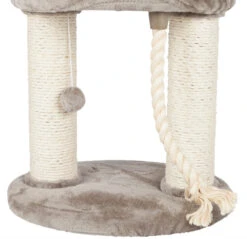 Trixie Grattoir Sur Pied Marcela 60cm 13 Trixie Grattoir Sur Pied Marcela 60cm -ROYAL CANIN Soldes Magasin fre pl Trixie Grattoir sur pied Marcela 60cm 11055 6