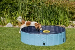 Trixie Piscine Pour Chien 120x30cm -ROYAL CANIN Soldes Magasin fre pl Trixie Piscine pour chien 120x30cm 11266 3