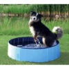 Trixie Piscine Pour Chien 80x20cm 2 Trixie Piscine Pour Chien 80x20cm -ROYAL CANIN Soldes Magasin fre pl Trixie Piscine pour chien 80x20cm 16389 1