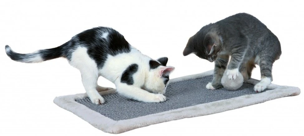 Trixie Tapis à Gratter 55x35cm 4 Trixie Tapis à Gratter 55x35cm – Image 2