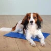 Trixie Tapis De Refroidissement Bleu XXL 110x70cm -ROYAL CANIN Soldes Magasin fre pl Trixie Tapis de refroidissement bleu XXL 110x70cm 10988 1