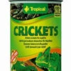 Tropical Crickets 250ml 2 Tropical Crickets 250ml -ROYAL CANIN Soldes Magasin fre pl Tropical Crickets 250ml 9134 1