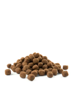 VERSELE-LAGA Opti Life Adulte Medium Au Poulet 2.5kg 7 VERSELE-LAGA Opti Life Adulte Medium Au Poulet 2.5kg -ROYAL CANIN Soldes Magasin fre pl VERSELE LAGA Opti Life Adulte Medium au Poulet 2 5kg 15487 3