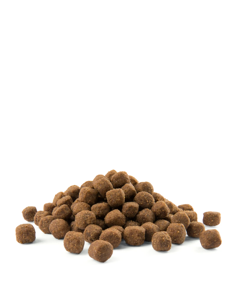 VERSELE-LAGA Opti Life Adulte Medium Au Poulet 2.5kg 5 VERSELE-LAGA Opti Life Adulte Medium Au Poulet 2.5kg – Image 3