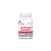 VETEXPERT Arthrovet HA Complex 90 Comprimés -ROYAL CANIN Soldes Magasin fre pl VETEXPERT Arthrovet HA Complex 90 Comprimes 8539 1