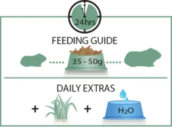 Versele-Laga Cavia Complete - Cochons D'Inde 8kg 9 Versele-Laga Cavia Complete - Cochons D'Inde 8kg -ROYAL CANIN Soldes Magasin fre pl Versele Laga Cavia Complete cochons dInde 8kg 8803 4
