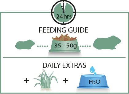 Versele-Laga Cavia Complete - Cochons D'Inde 8kg 6 Versele-Laga Cavia Complete - Cochons D'Inde 8kg – Image 4