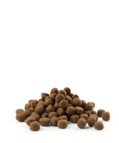 Versele-Laga Opti Life Adult Active Au Poulet 12,5 Kg 6 Versele-Laga Opti Life Adult Active Au Poulet 12,5 Kg -ROYAL CANIN Soldes Magasin fre pl Versele Laga Opti Life Adult Active Au Poulet 12 5 kg 15481 2