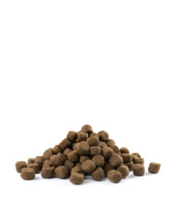 Versele-Laga Opti Life Adult Digestion Medium&Maxi Agneau Avec Riz 12,5 Kg -ROYAL CANIN Soldes Magasin fre pl Versele Laga Opti Life Adult Digestion Medium Maxi Agneau Avec Riz 12 5 kg 15482 3