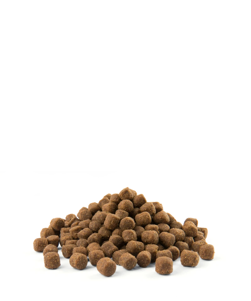 Versele-Laga Opti Life Adult Skin Care Mini Avec Saumon 2.5kg 5 Versele-Laga Opti Life Adult Skin Care Mini Avec Saumon 2.5kg – Image 3