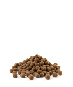 Versele-Laga Opti Life Adulte Light Mini Avec Poulet Et Riz 2.5kg -ROYAL CANIN Soldes Magasin fre pl Versele Laga Opti Life Adulte Light Mini avec poulet et riz 2 5kg 17014 3