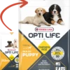 Versele-Laga Opti Life Puppy Maxi Au Poulet 12.5kg 2 Versele-Laga Opti Life Puppy Maxi Au Poulet 12.5kg -ROYAL CANIN Soldes Magasin fre pl Versele Laga Opti Life Puppy Maxi au poulet 12 5kg 15491 1