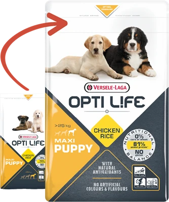 Versele-Laga Opti Life Puppy Maxi Au Poulet 12.5kg 3 Versele-Laga Opti Life Puppy Maxi Au Poulet 12.5kg