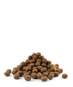 Versele-Laga Opti Life Puppy Maxi Au Poulet 12.5kg 7 Versele-Laga Opti Life Puppy Maxi Au Poulet 12.5kg -ROYAL CANIN Soldes Magasin fre pl Versele Laga Opti Life Puppy Maxi au poulet 12 5kg 15491 3