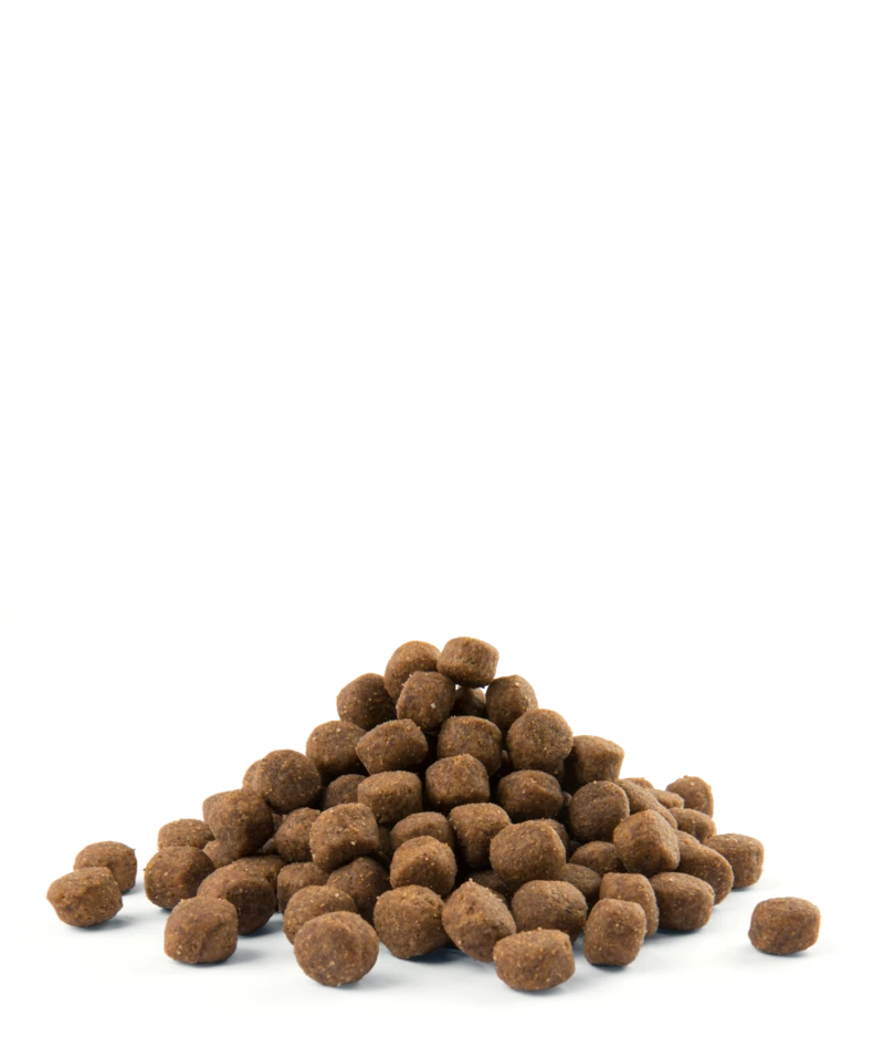 Versele-Laga Opti Life Puppy Maxi Au Poulet 12.5kg 5 Versele-Laga Opti Life Puppy Maxi Au Poulet 12.5kg – Image 3