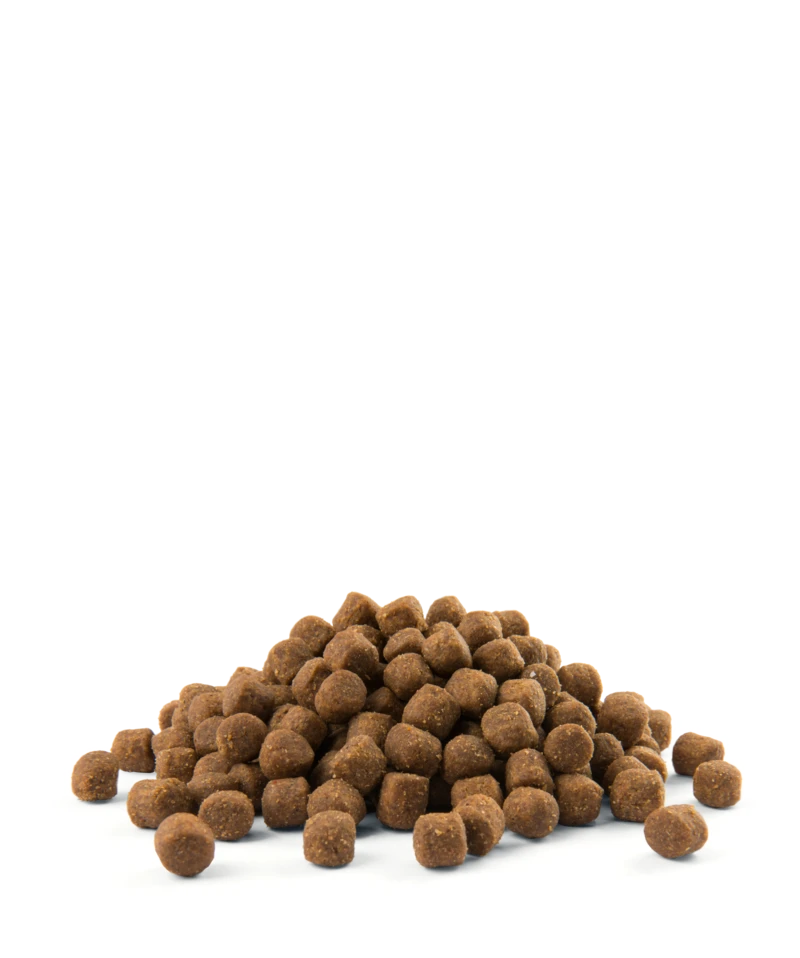 Versele-Laga Opti Life Puppy Medium Au Poulet 12.5kg 5 Versele-Laga Opti Life Puppy Medium Au Poulet 12.5kg – Image 3