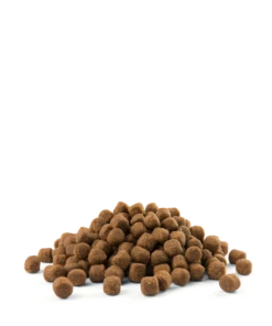 Versele-Laga Opti Life Puppy Sensitive Saumon Au Riz 2.5kg -ROYAL CANIN Soldes Magasin fre pl Versele Laga Opti Life Puppy Sensitive Saumon au riz 2 5kg 8724 3