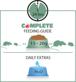 VERSELE-LAGA Versele Laga Rat & Mouse Complete 2kg -ROYAL CANIN Soldes Magasin fre pl Versele Laga Rat Mouse Complete 2kg 8982 3