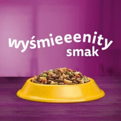 WHISKAS Adult 1.4 Kg - Aliment Complet Sec Pour Chats Adultes, Avec Du Poulet Délicieux -ROYAL CANIN Soldes Magasin fre pl WHISKAS Adult 1 4 kg aliment complet sec pour chats adultes avec du poulet delicieux 29666 4