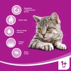 WHISKAS Adulte - Nourriture Pour Chat Au Thon Et Aux Légumes 14kg -ROYAL CANIN Soldes Magasin fre pl WHISKAS Adulte Nourriture pour chat au thon et aux legumes 14kg 15760 5