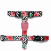 ZEE DOG Mahalo S Harnais Pour Chien