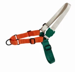 ZEE DOG Soft Walk Stranger Things S