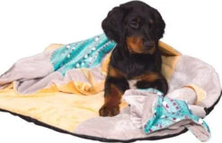 ZOLUX Jouet CHIQUITOS - Paresseux - Doudou -ROYAL CANIN Soldes Magasin fre pl ZOLUX Jouet CHIQUITOS Paresseux Doudou 28849 3