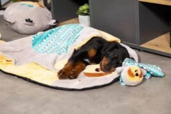 ZOLUX Jouet CHIQUITOS - Paresseux - Doudou -ROYAL CANIN Soldes Magasin fre pl ZOLUX Jouet CHIQUITOS Paresseux Doudou 28849 4