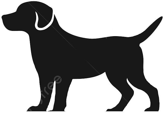 ROYAL CANIN Soldes Magasin